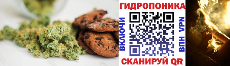 сколько стоит Ивантеевка площадка какой сайт Еда ТГК конопля