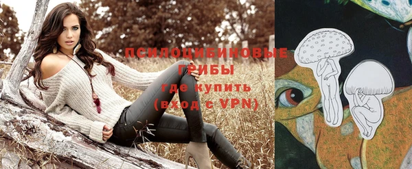 шишки Заволжье
