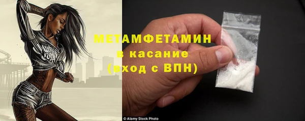 шишки Заволжье