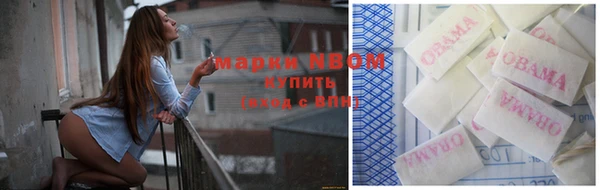 шишки Заволжье