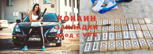 шишки Заволжье