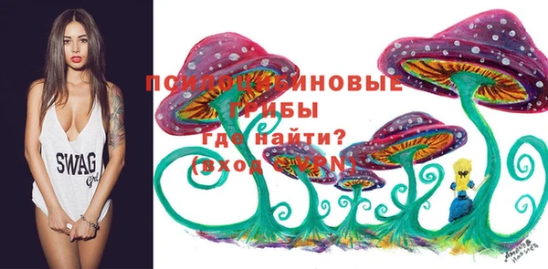 прущая мука Заволжск