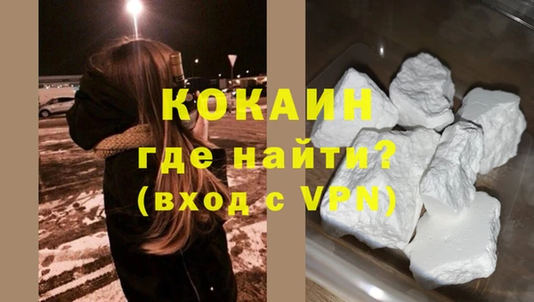 шишки Заволжье