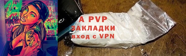 шишки Заволжье