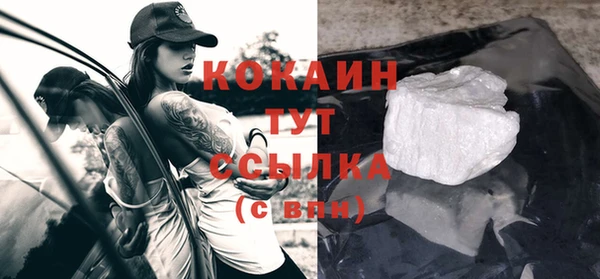 шишки Заволжье