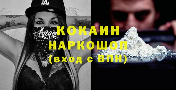 шишки Заволжье