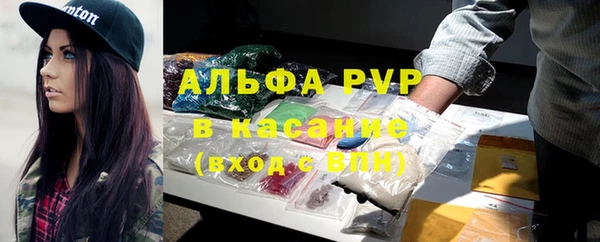 шишки Заволжье