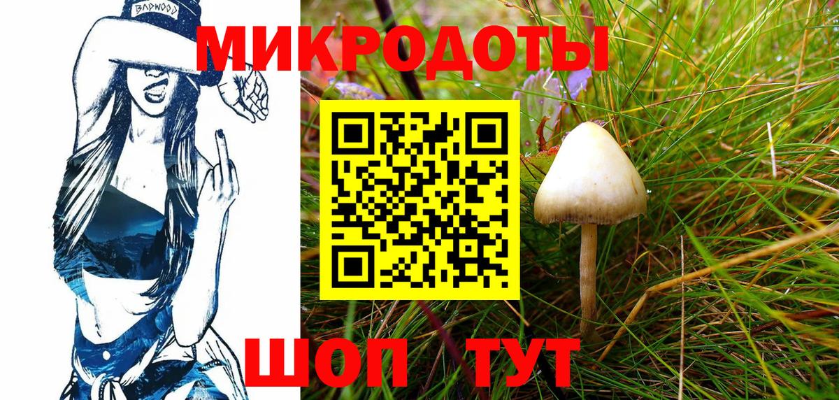 Ивантеевка  купить  цена  Вход с VPN  Галлюциногенные грибы Psilocybe 